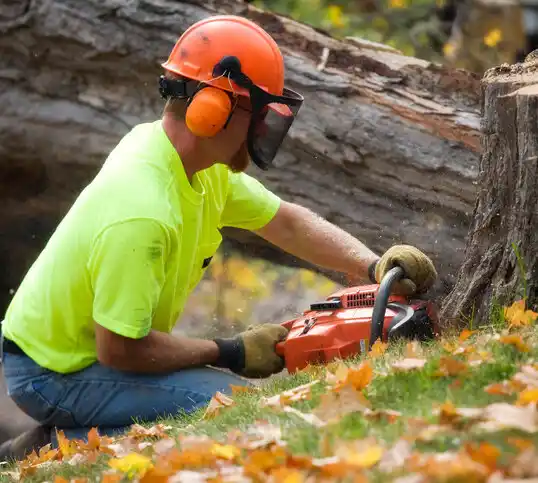 tree services Arbutus